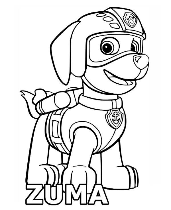 Kolorowanka pies Zuma